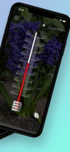 Thermometer Direct Home