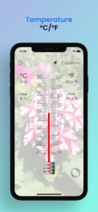 Thermometer Direct Temperature